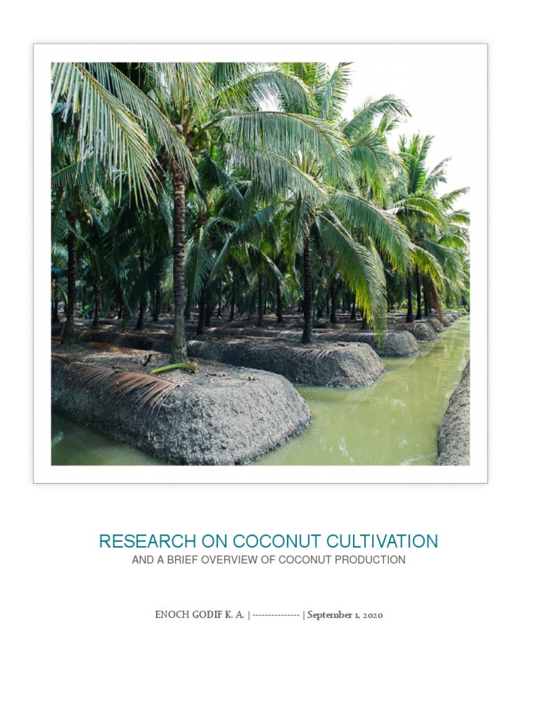 Coconut Cultivation Research Overview | PDF | Coconut | Soil