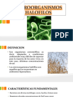 3 Microorganismos Halofilos