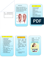 Plasenta Previa Leflet