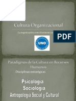 Cultura Organizacional