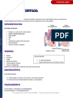 Válvula Mitral (Estenosis e Insuficiencia)