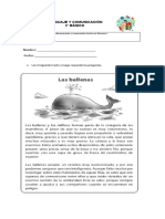 Comprensión Lectora Texto Informativo 3