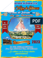 Virgen de Cocharcas - Julcamarca 2023