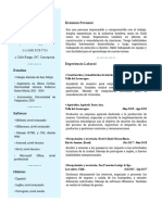 Curriculum Vitae Pablo Luksic