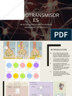 Clase 4. Neurotransmisores-Sintesis y Mecanismo de Accion