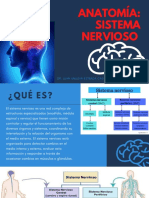 Anatomía Sistema Nervioso y Aparato Urinario. Melissa Maldonado