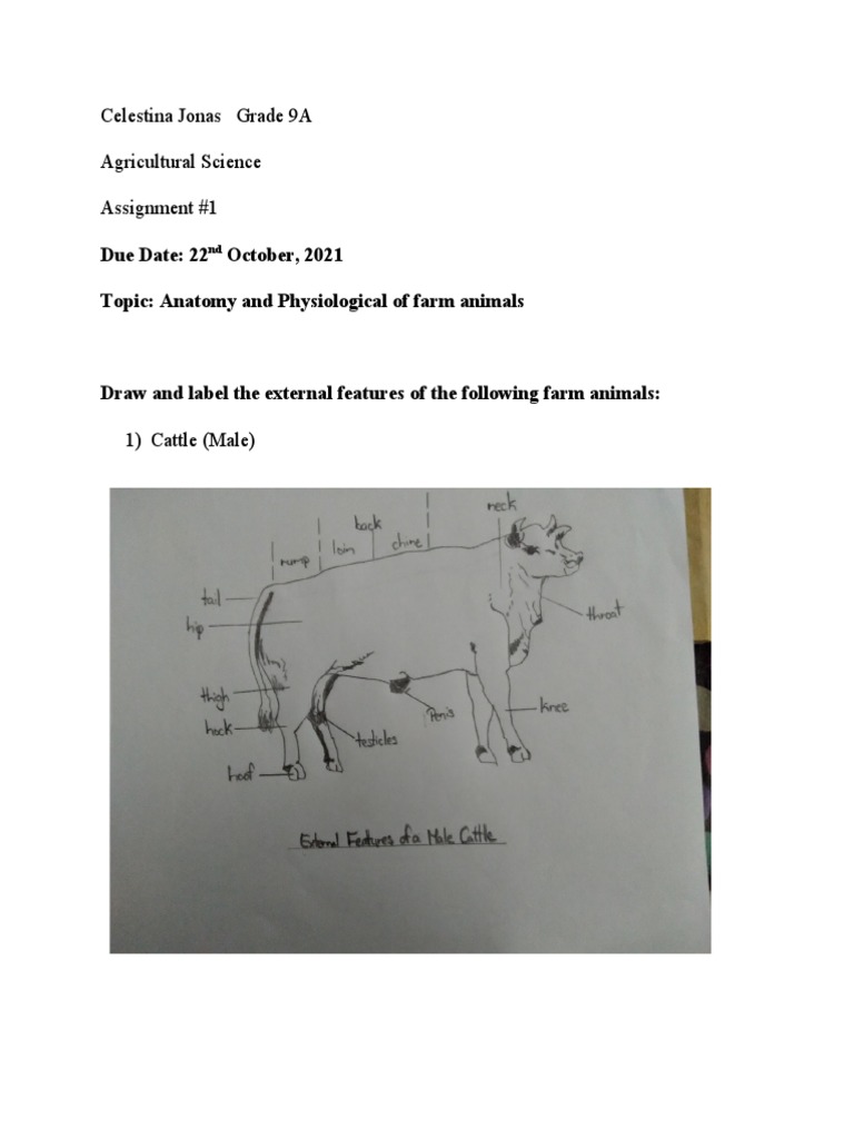 Agricultural Science Assignment | PDF