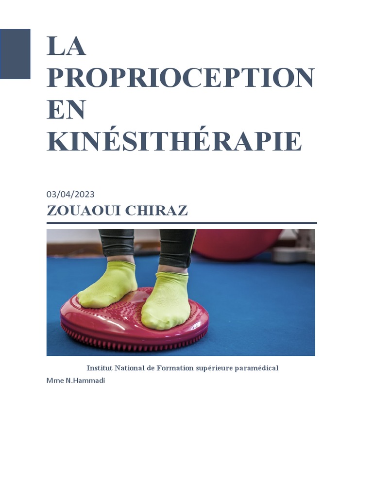 Proprioception en kinésithérapie | PDF | Muscle squelettique ...