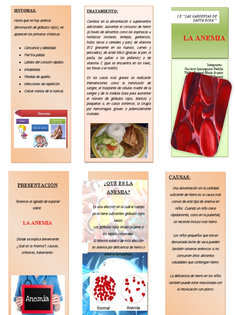 triptico-anemia-pdf-anemia-gl-bulo-rojo