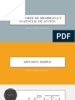 4 Transporte de Membrana y Potencial de Acción