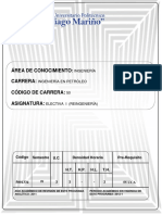 Electiva I Reingeneria