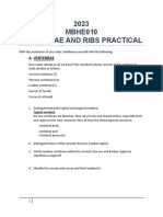 MBHE010 - Vertebra and Ribs - Practical Guide