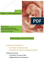1st and 2nd Week of Dev Embryology