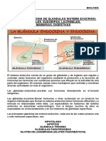 Anatomia Fisiologia de Glandulas Sistema Exocrino Salivales, Sudoripas, Lacrimales, Mamarias, Digestivas