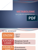Metabolisme Sub Bab Enzim