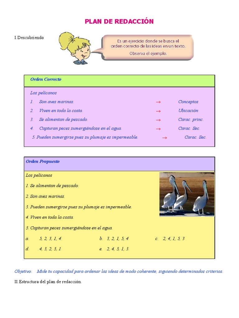 Plan de Redacción para Sexto Grado de Primaria | PDF | Euclides | Serpiente