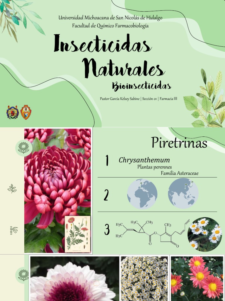 Insecticidas Naturales | PDF