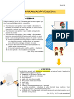 Ejercicio Naturalización Declarativa y Concesiva