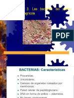 Conferencia 3. Bacterias