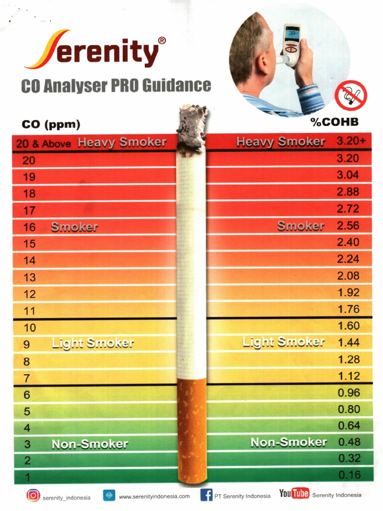 Hasil Pengukuran Kadar CO Pria | PDF