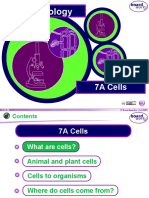 Cell KS3