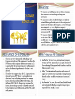 SHARED FX Risk and Exposure MGMT MAIN