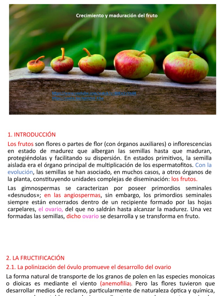 Clase 13 FRUCTIFICACIÓN | PDF