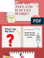 Science - How Do Bones and Muscles Work - Part 1