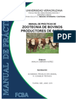 zootecnia de vacas