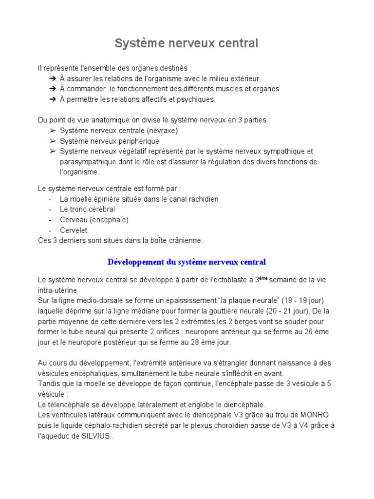 Anatomie et développement du SNC | PDF | Circonvolution cérébrale ...