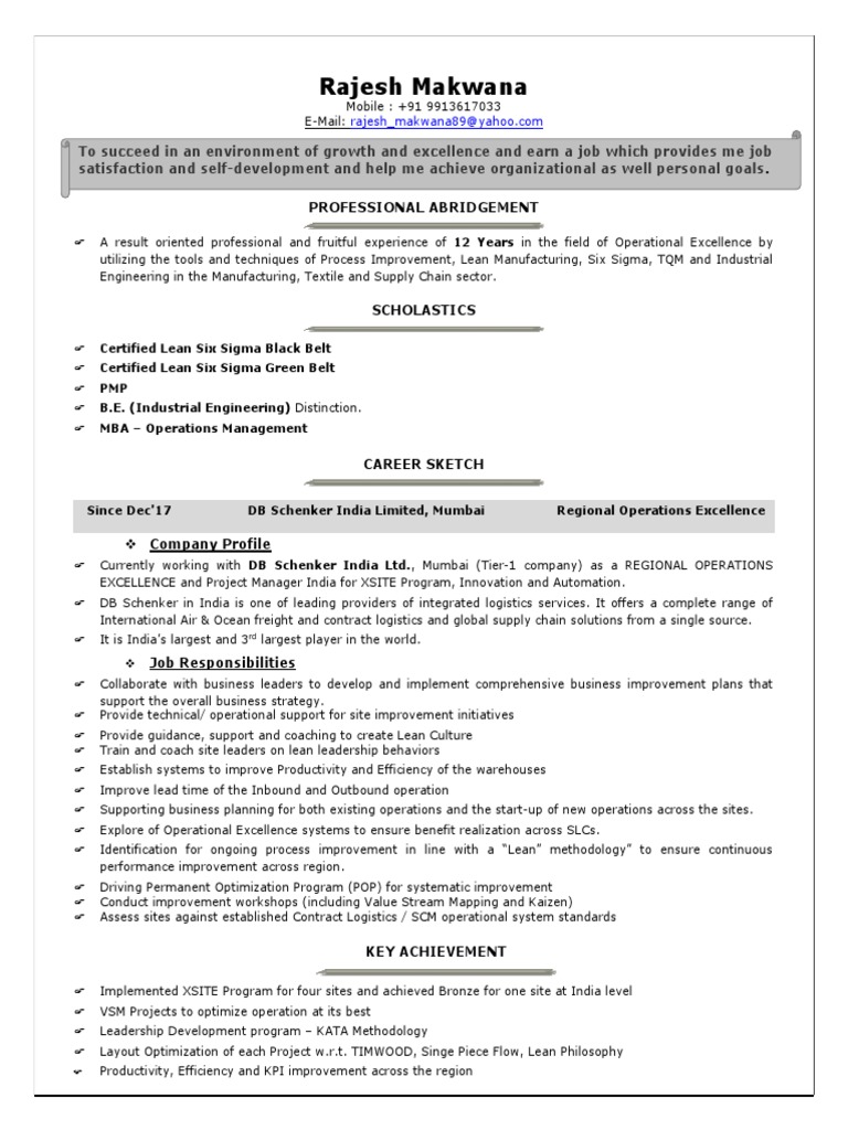 Operational Excellence Expert Profile | PDF | Lean Manufacturing | Six ...