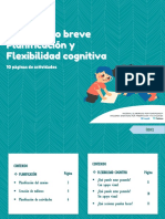 CUADERNILLO BREVE PLANIFICACION Y FLEXIBILIDAD COGNITIVA Rvtvav