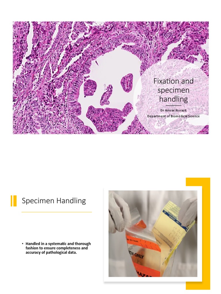 Fixation and Specimen Handling PDF Fixation (Histology) Formaldehyde