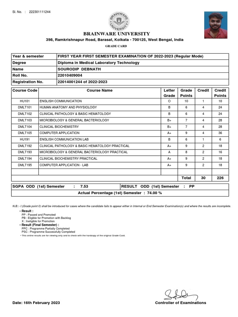 Working Schedule Pdf
