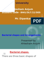 Bacterial Shapes and Arrangements