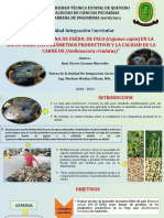 Diapositivas Exponer A Comite de Investigacion FCP