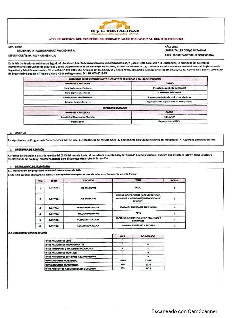 Acta de Reunión CSST - Junio | PDF