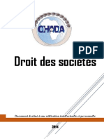 Droit Des Sociétés L1 Droit