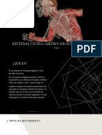 Sistema Osteo-Artro-Muscular