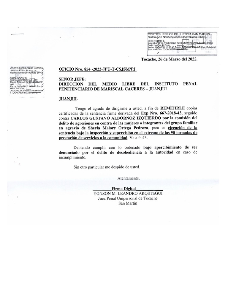Solicitud Al Inpe-Juanjui | PDF