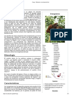 Pongo - Wikipedia, La Enciclopedia Libre