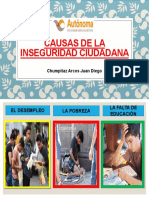 Causas de La Inseguridad Ciudadana 2