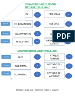 Campeonato de Fulbito Césped Natural