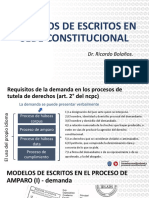 Modelos de Escritos en Sede Constitucional Ricardo Bolaños