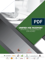 Unified HSE Passport Standard LR