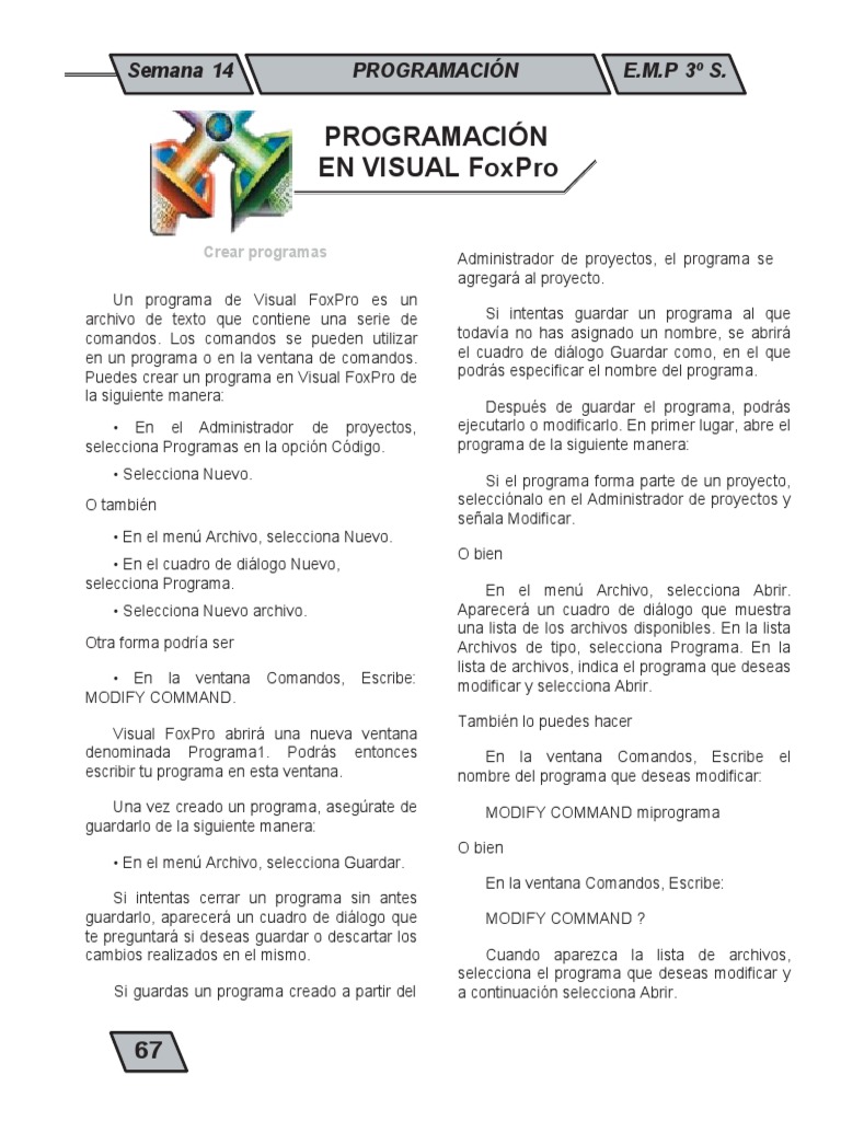Programacion en Visual Foxpro | PDF