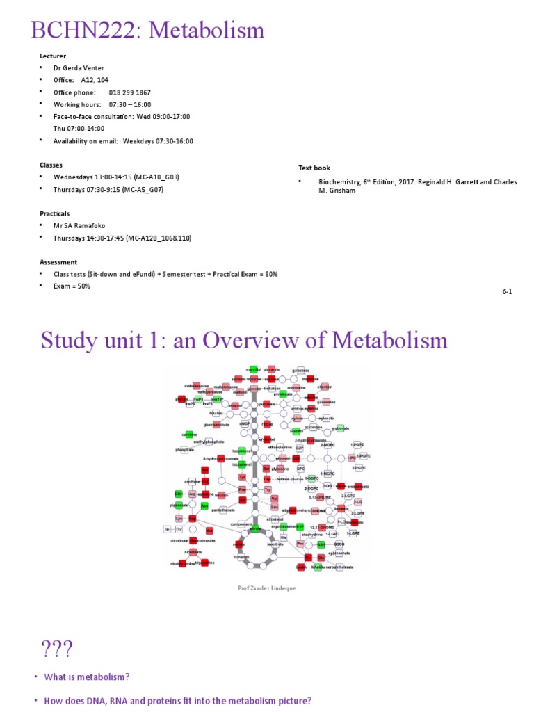1.introduction To Metabolism and IEM - GV | PDF | Metabolic Pathway ...