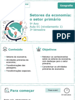 Aula 1 - Setores Da Economia o Setor Primário - 545301