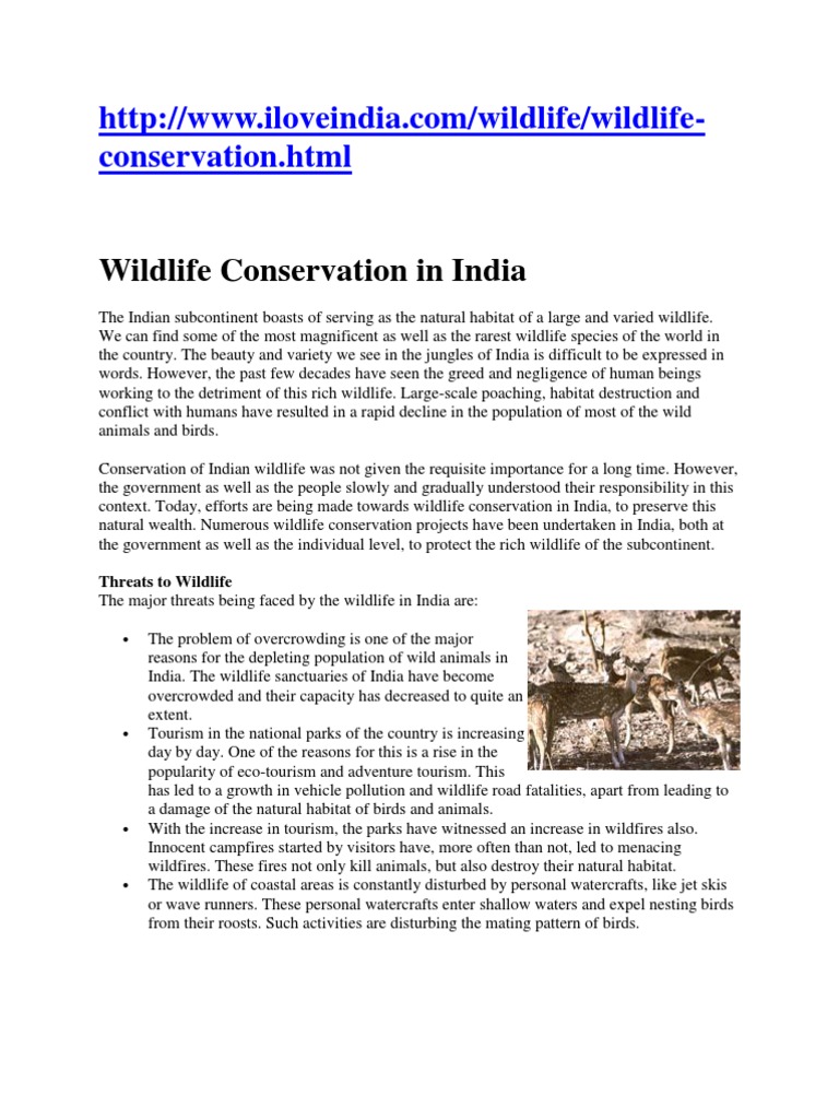 Wildlife Conservation in India | PDF | Wildlife | Tiger
