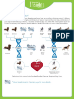 DNA Kecil